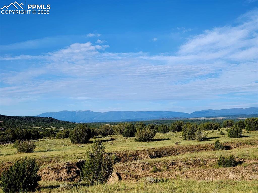7490 Red Creek Springs Road Pueblo, CO 81005 - Photo 21 of 37 a view of a large body of water with lots of trees