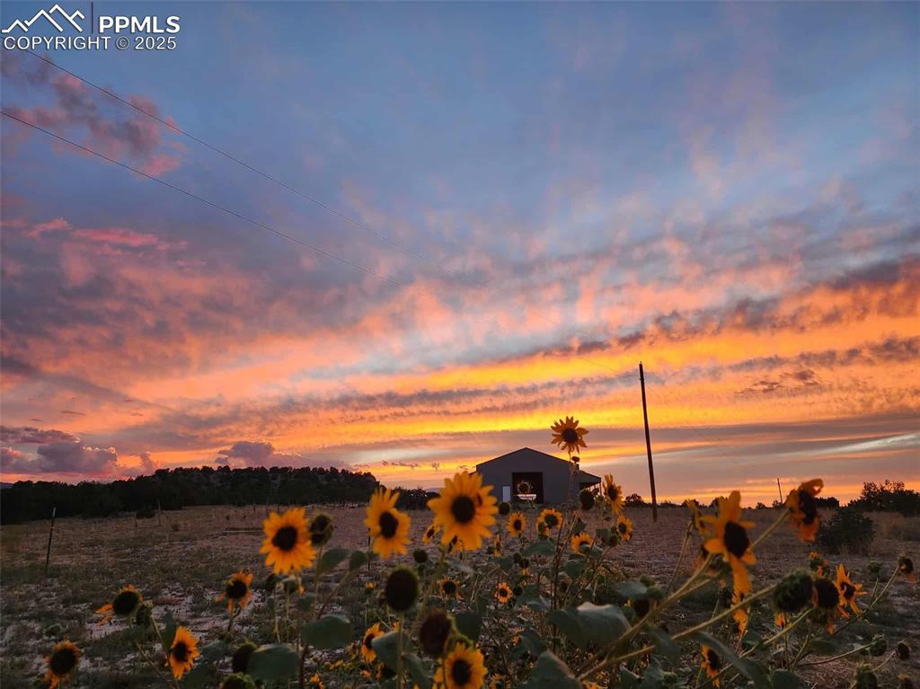 7490 Red Creek Springs Road Pueblo, CO 81005 - Photo 24 of 37