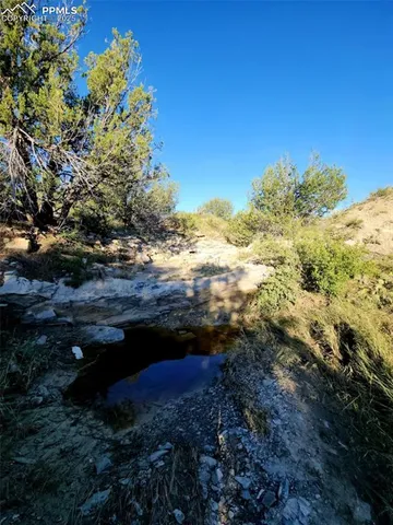 a view of a lush green space with sea
