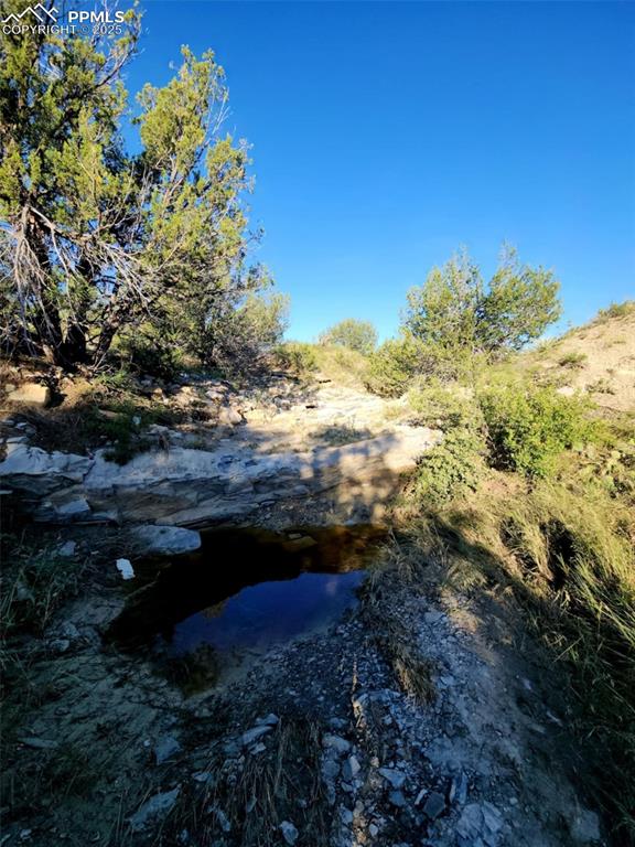 7490 Red Creek Springs Road Pueblo, CO 81005 - Photo 25 of 37 a view of a yard