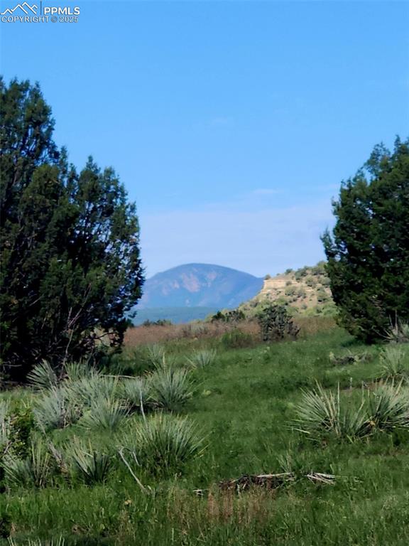 7490 Red Creek Springs Road Pueblo, CO 81005 - Photo 26 of 37 a view of a lush green space with sea