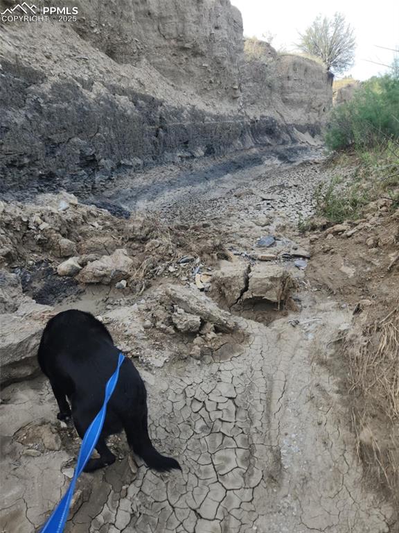 7490 Red Creek Springs Road Pueblo, CO 81005 - Photo 30 of 37 a view of back yard