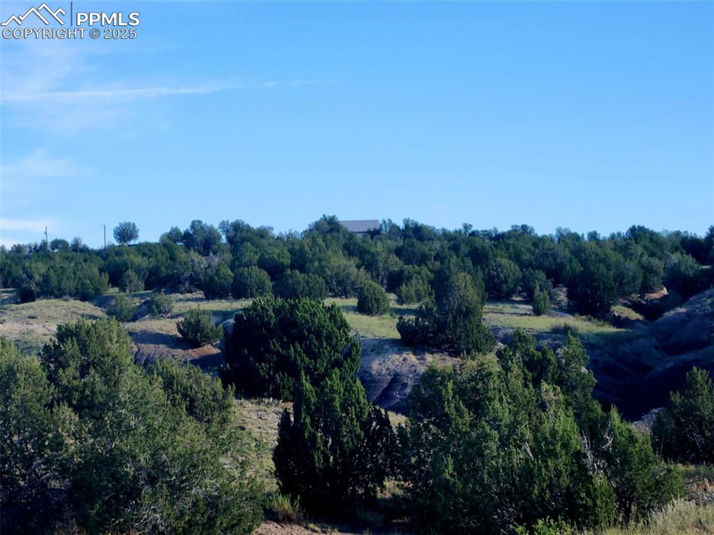 7490 Red Creek Springs Road Pueblo, CO 81005 - Photo 32 of 37 a view of a city with lush green forest