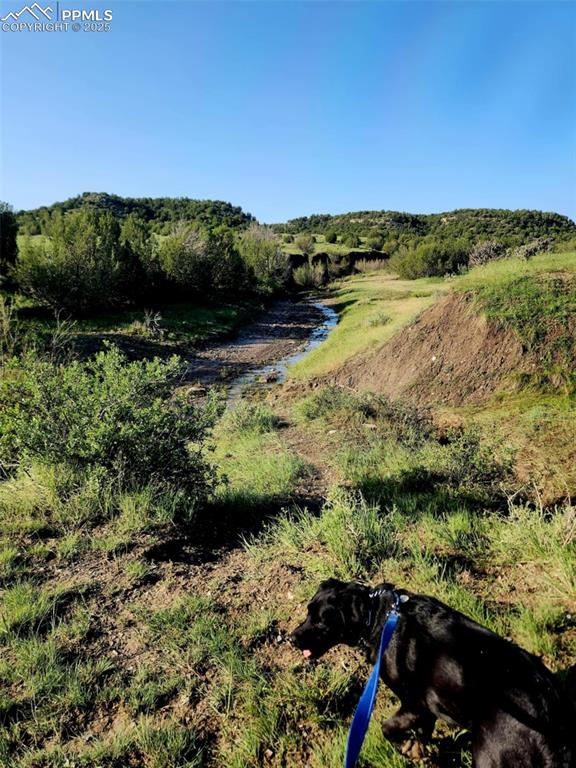 7490 Red Creek Springs Road Pueblo, CO 81005 - Photo 33 of 37 a view of lake with mountain
