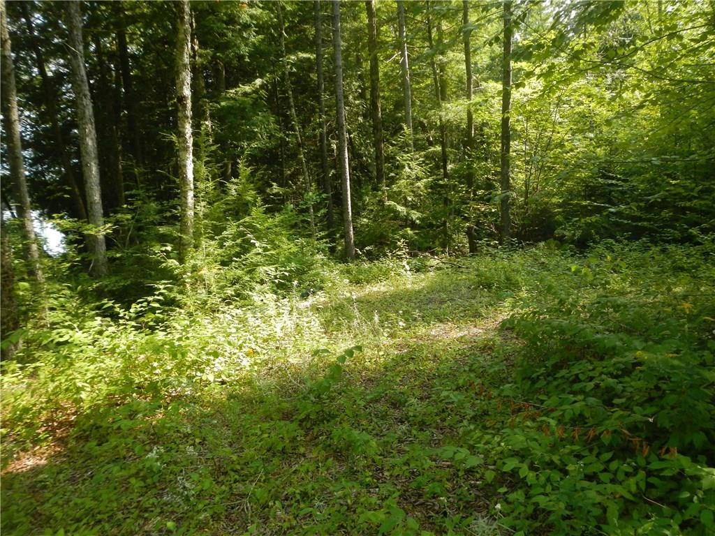 Tbd Tbd Eskutassis & Spruce Point Road Lowell, ME 04493 - Photo 6 of 23 Photo