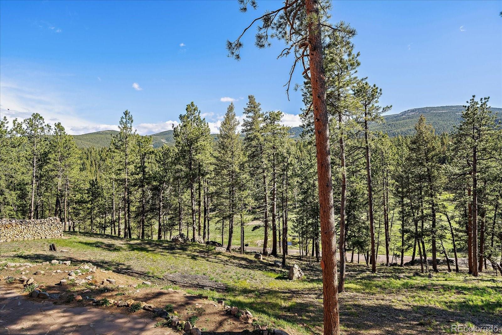 34 Normandy Road Evergreen, CO 80439 - Photo 36 of 45