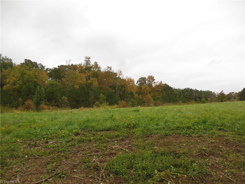 0 Watts Road Walnut Cove, NC 27052 - Photo 2 of 5