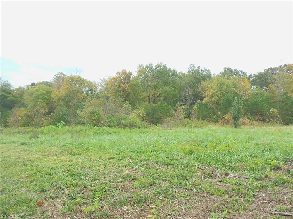 0 Watts Road Walnut Cove, NC 27052 - Photo 3 of 5