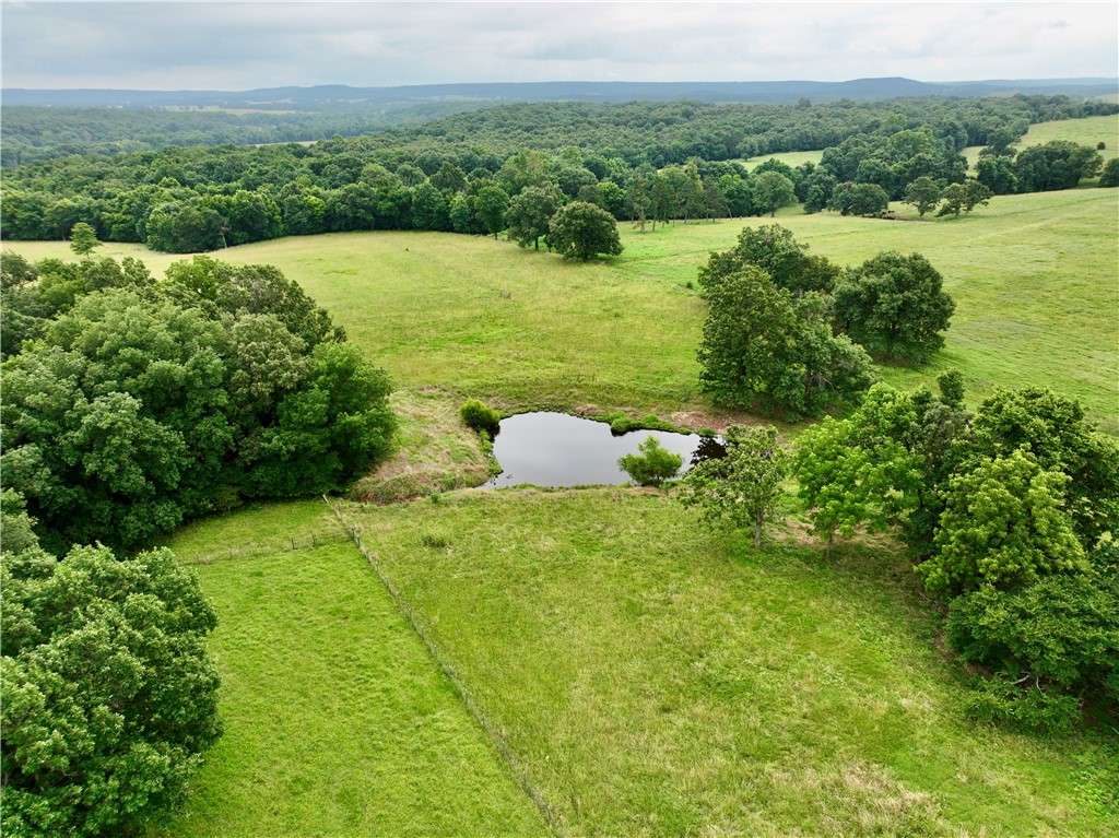 15196 Cincinnati Creek Road Summers, AR 72769 - Photo 5 of 42 Expansive green pastures featuring a tranquil pond, scattered mature trees, and distant wooded hills