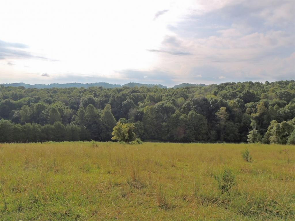 0 Old Snapps Ferry Road, Unit PO3 Limestone, TN 37681 - Photo 9 of 17 Photo 9