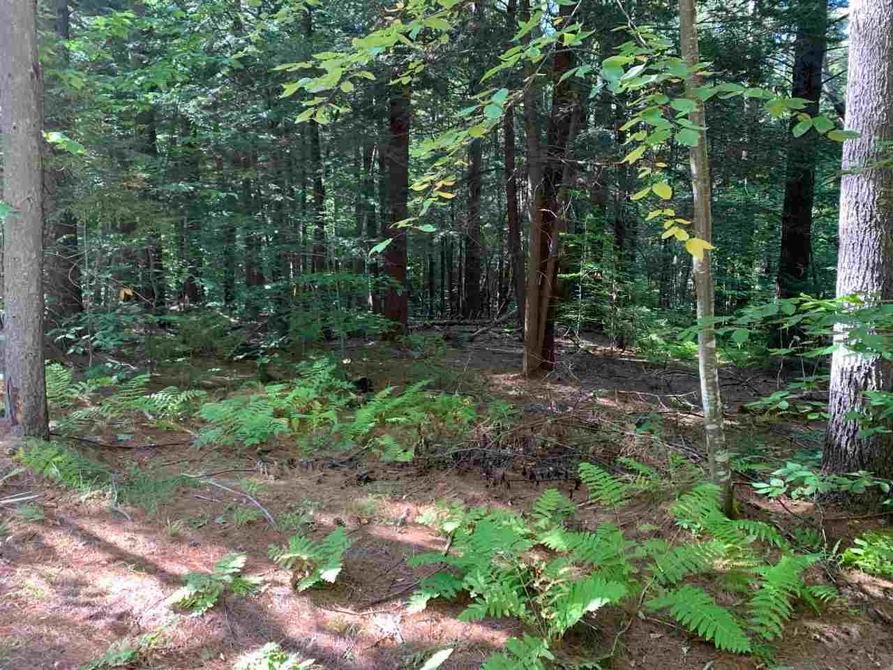 42 Williams Road Newfane, VT 05362 - Photo 3 of 12