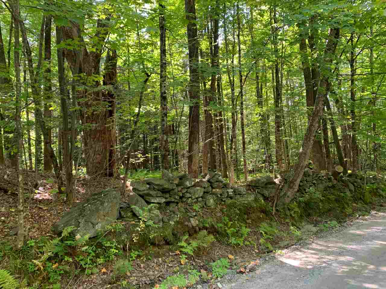 42 Williams Road Newfane, VT 05362 - Photo 8 of 12