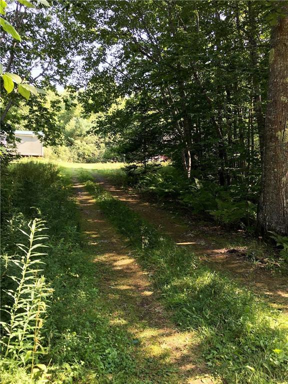 150 Back Belmont Road Belfast, ME 04915 - Photo 1 of 7 Looking up the driveway