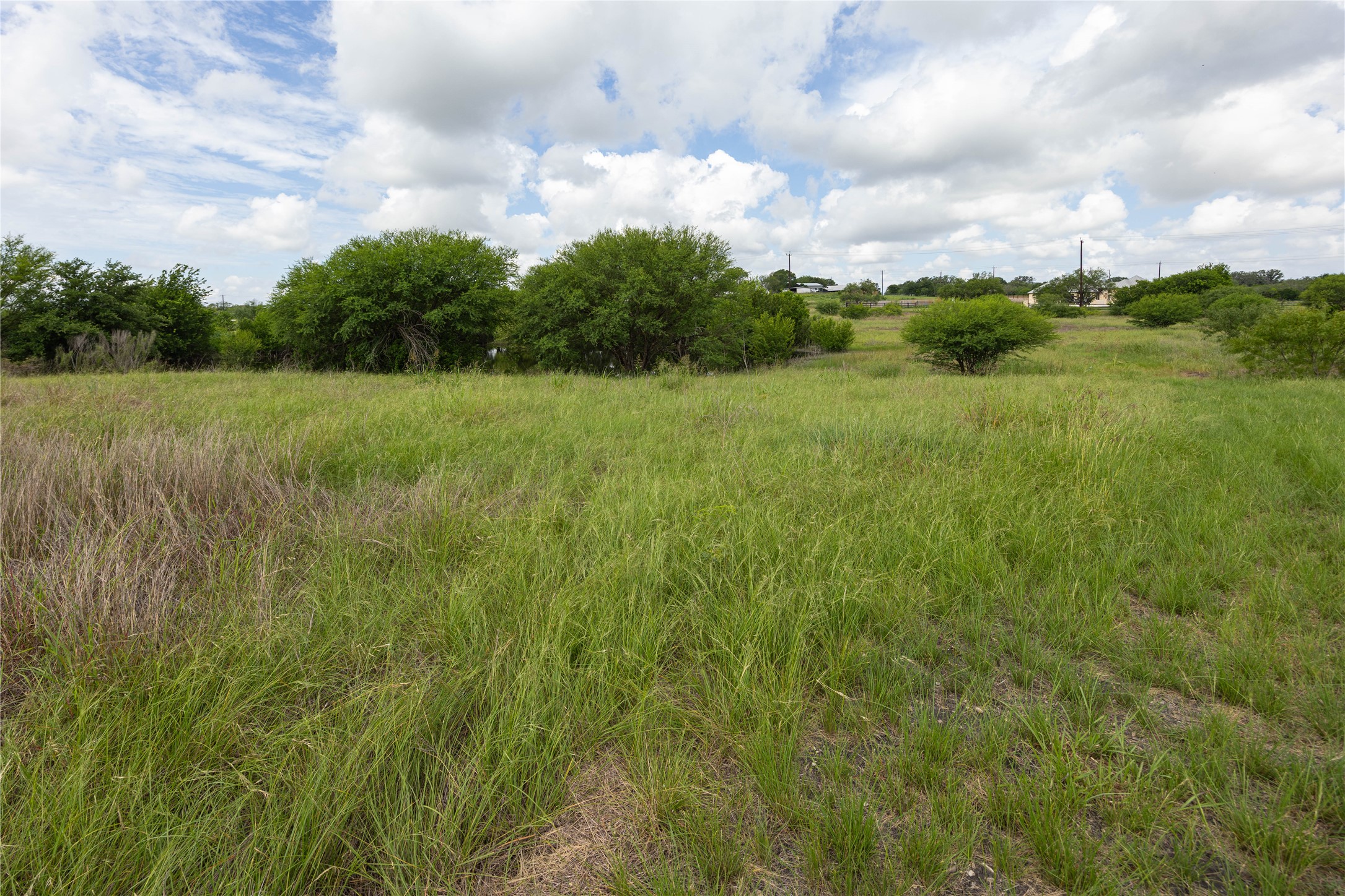 6868 Pfeil Road Schertz, TX 78154 - Photo 9 of 14 a view of a green field