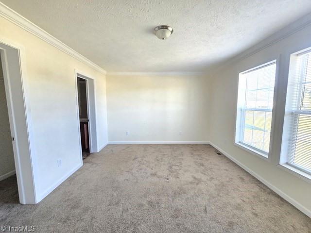 252 Paschal Road Yanceyville, NC 27379 - Photo 16 of 23