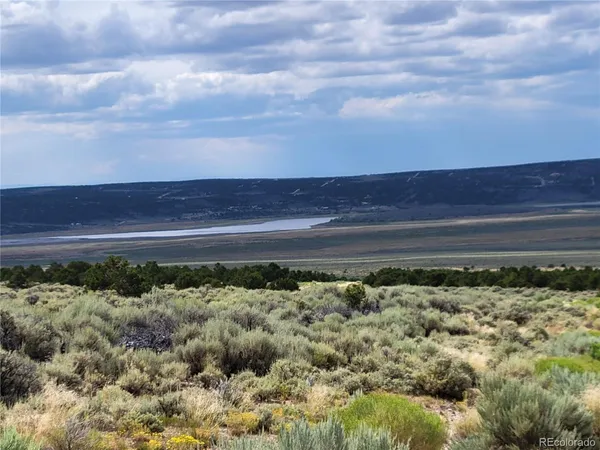 a view of a yard with an ocean and trees