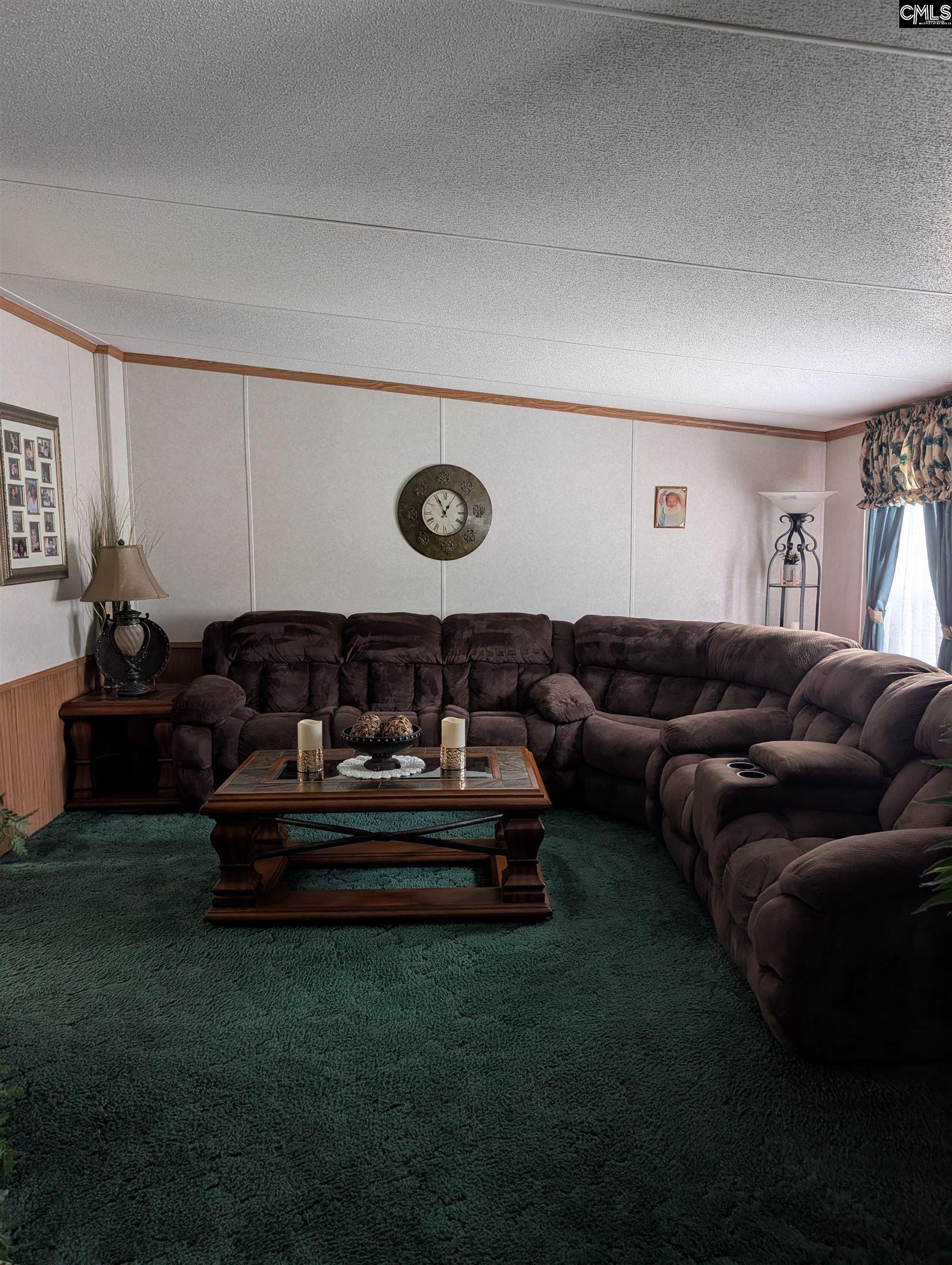 113 Hass Lucas Road Gaston, SC 29053 - Photo 18 of 39