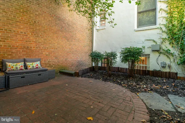 a view of backyard with plants and trees
