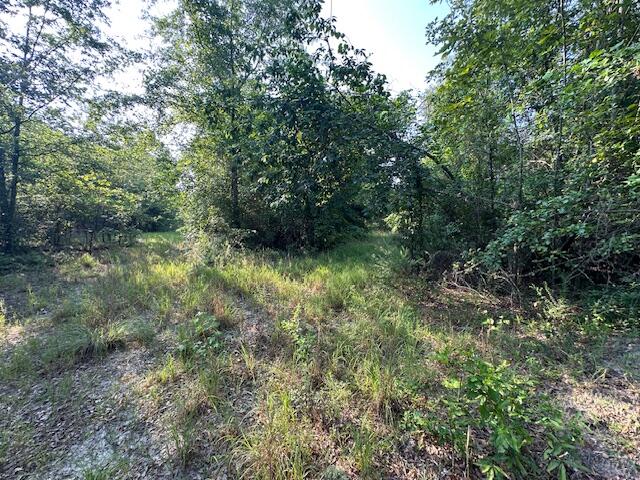 2576 Jessie James Pond Road Wrens, GA 30818 - Photo 29 of 47 IMG_4001