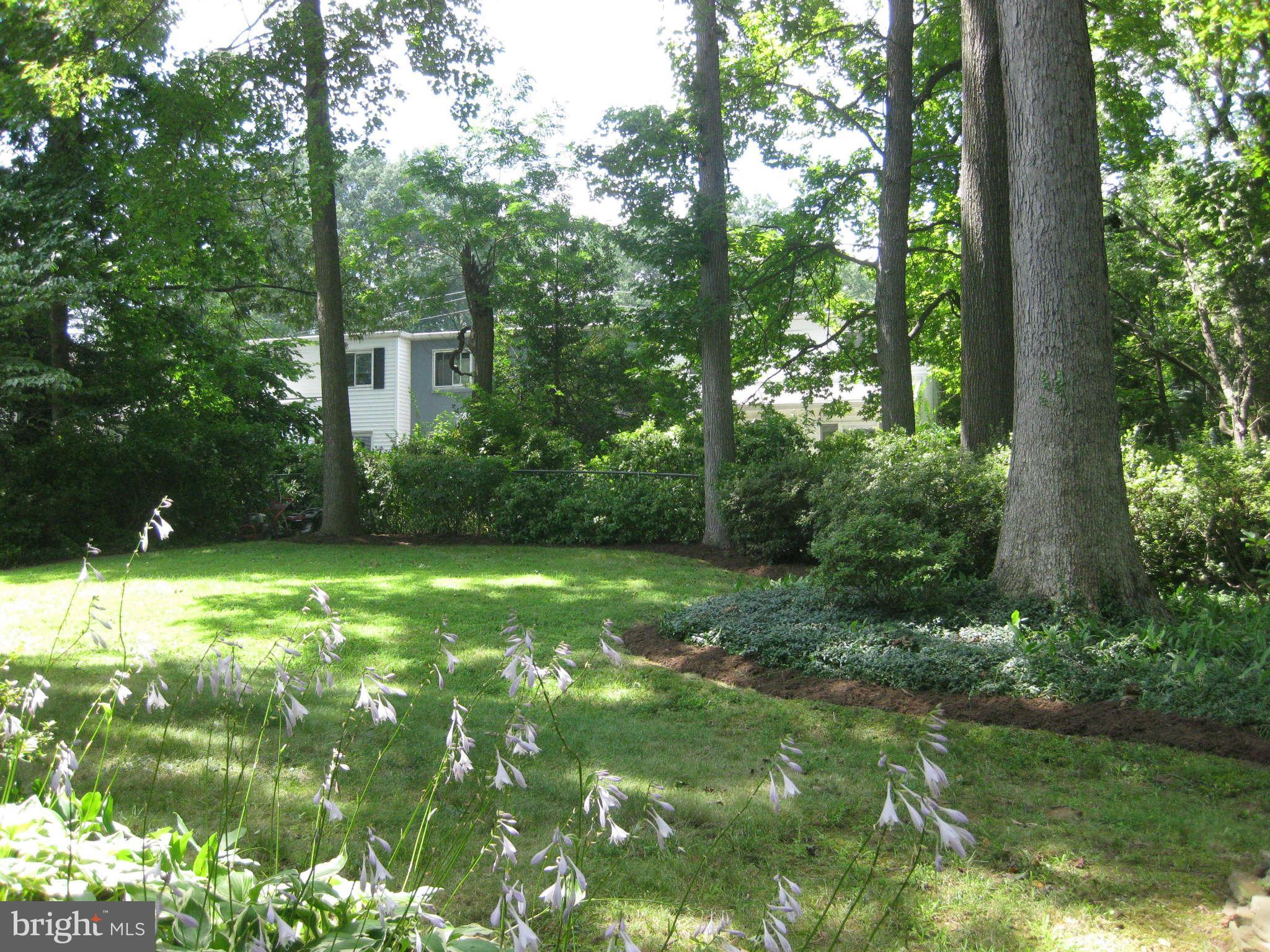 9 Ridge Road, Unit F Greenbelt, MD 20770 - Photo 6 of 9 View