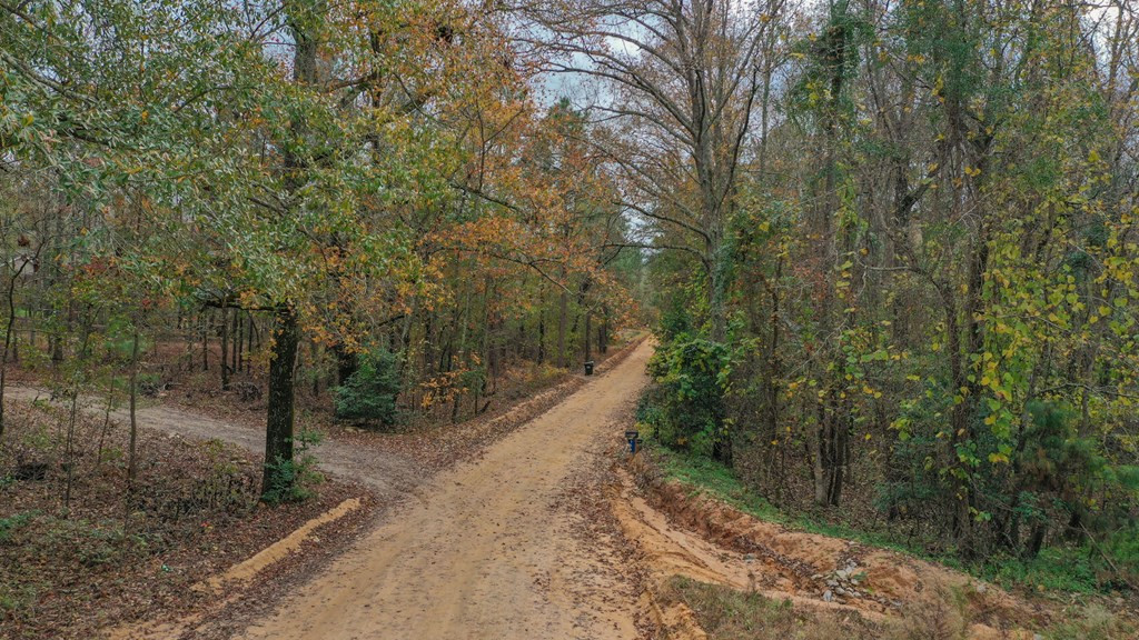 342 Weyerhaeuser Road Aiken, SC 29801 - Photo 10 of 18