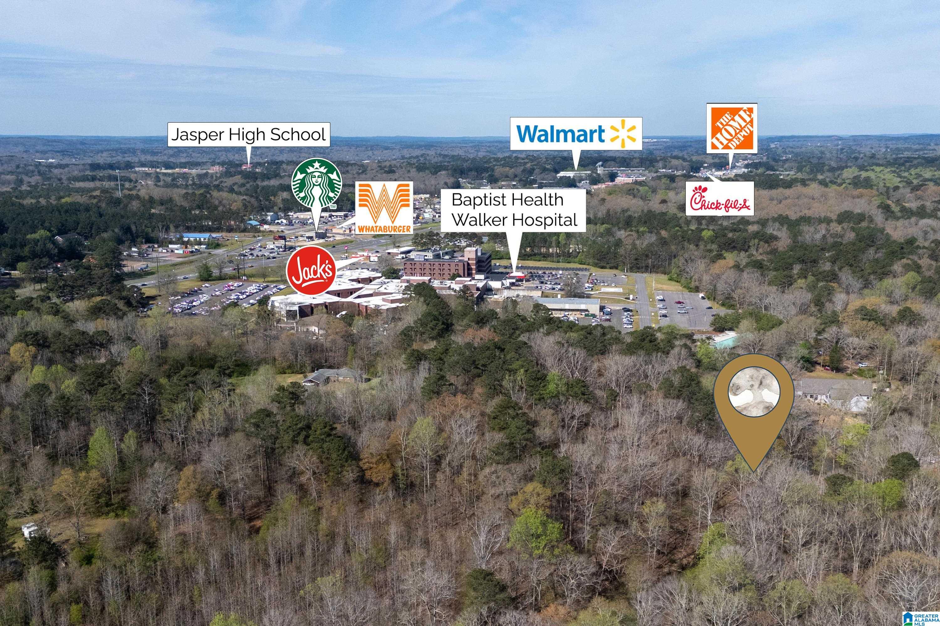 358 Blackwell Dairy Road Jasper, AL 35501 - Photo 1 of 22