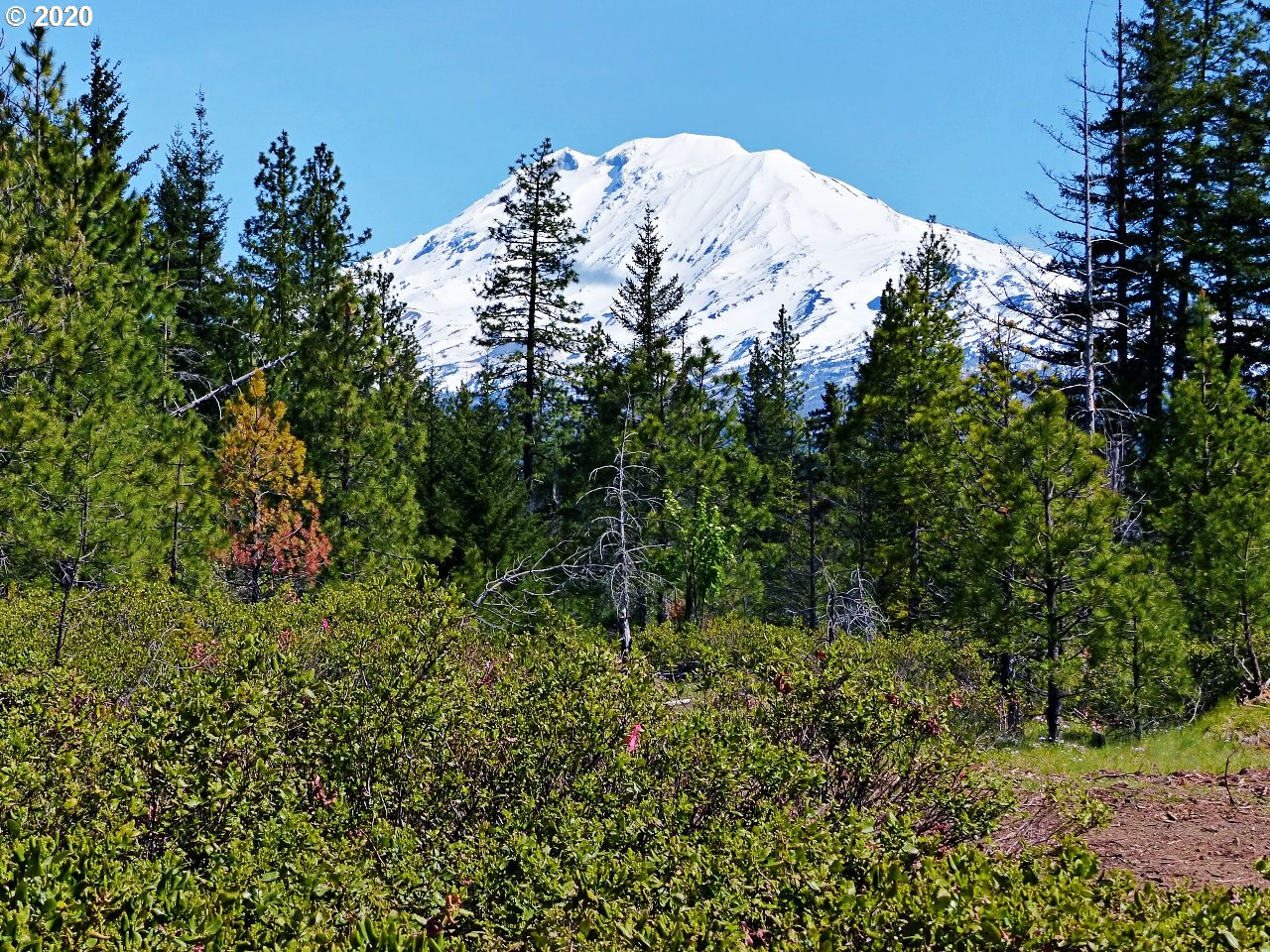31 Byrkett Road Trout Lake, WA 98650 - Photo 1 of 22 Gallery Image 1