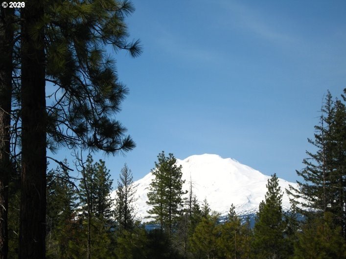 31 Byrkett Road Trout Lake, WA 98650 - Photo 2 of 22 Gallery Image 2