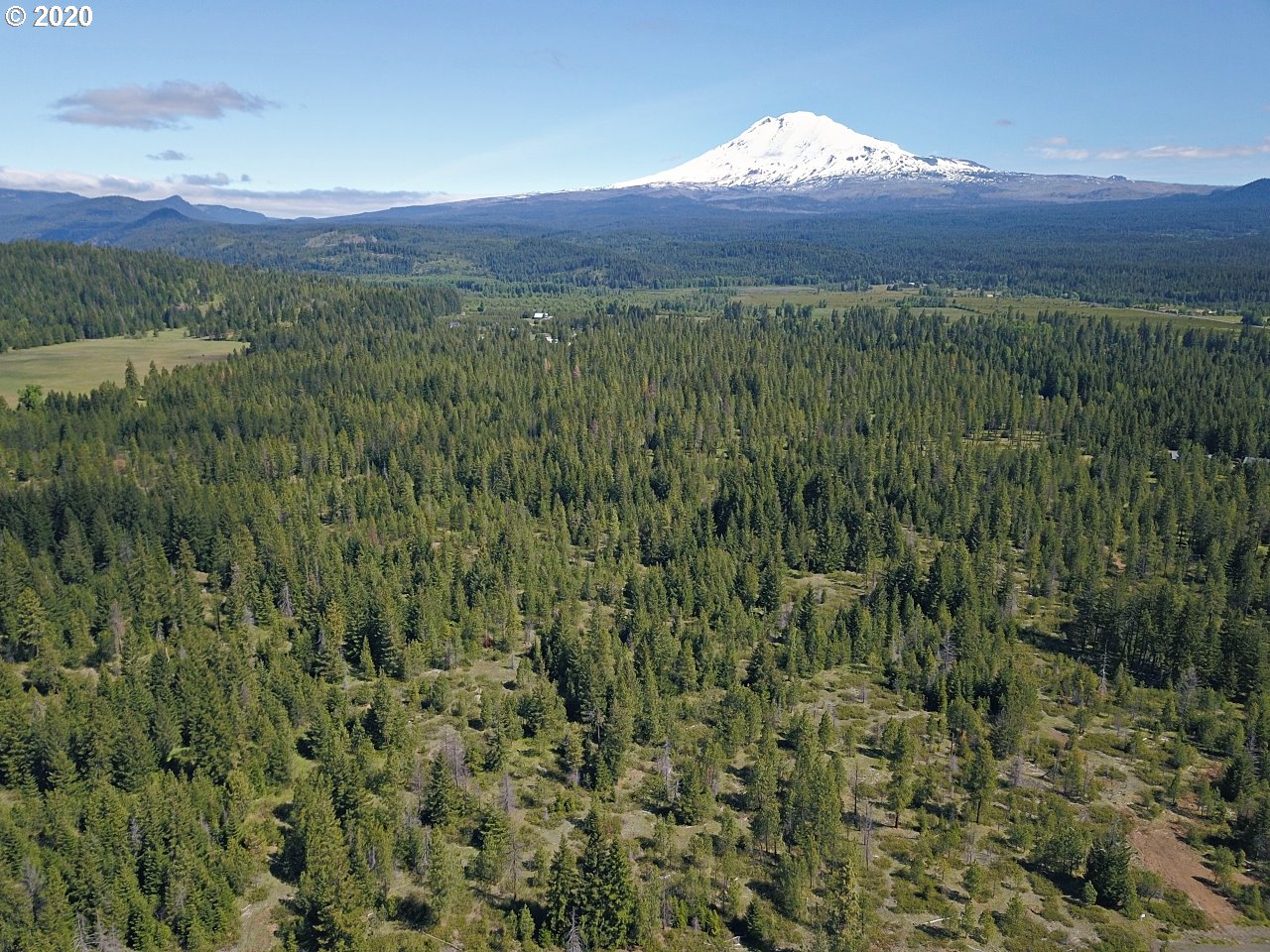 31 Byrkett Road Trout Lake, WA 98650 - Photo 12 of 22 Gallery Image 12