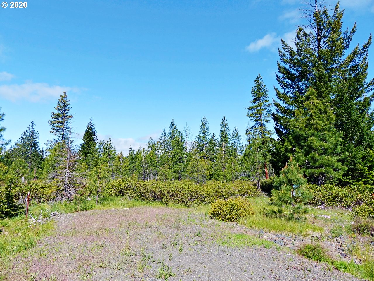 31 Byrkett Road Trout Lake, WA 98650 - Photo 13 of 22 Gallery Image 13
