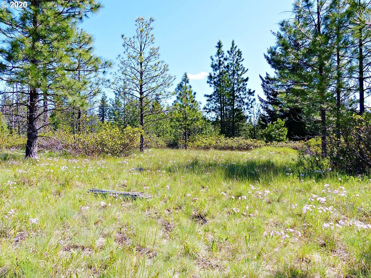 31 Byrkett Road Trout Lake, WA 98650 - Photo 14 of 22 Gallery Image 14