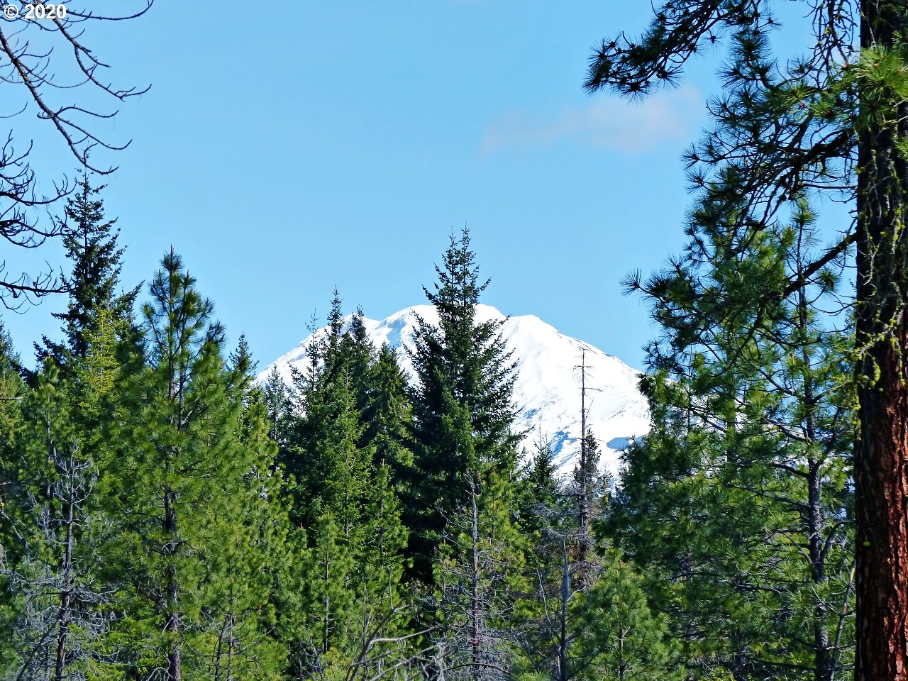 31 Byrkett Road Trout Lake, WA 98650 - Photo 16 of 22 Gallery Image 16