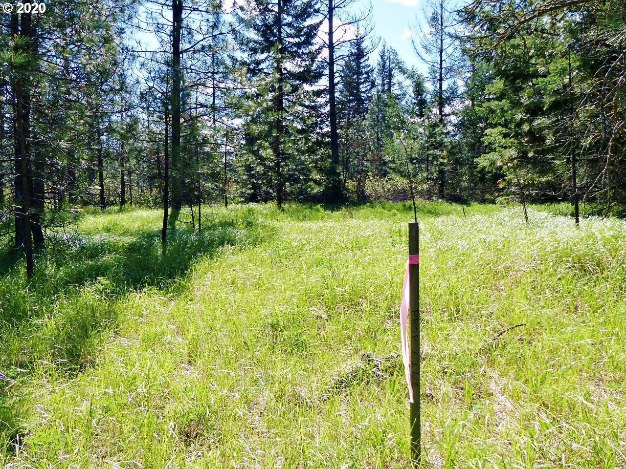 31 Byrkett Road Trout Lake, WA 98650 - Photo 19 of 22 Gallery Image 19