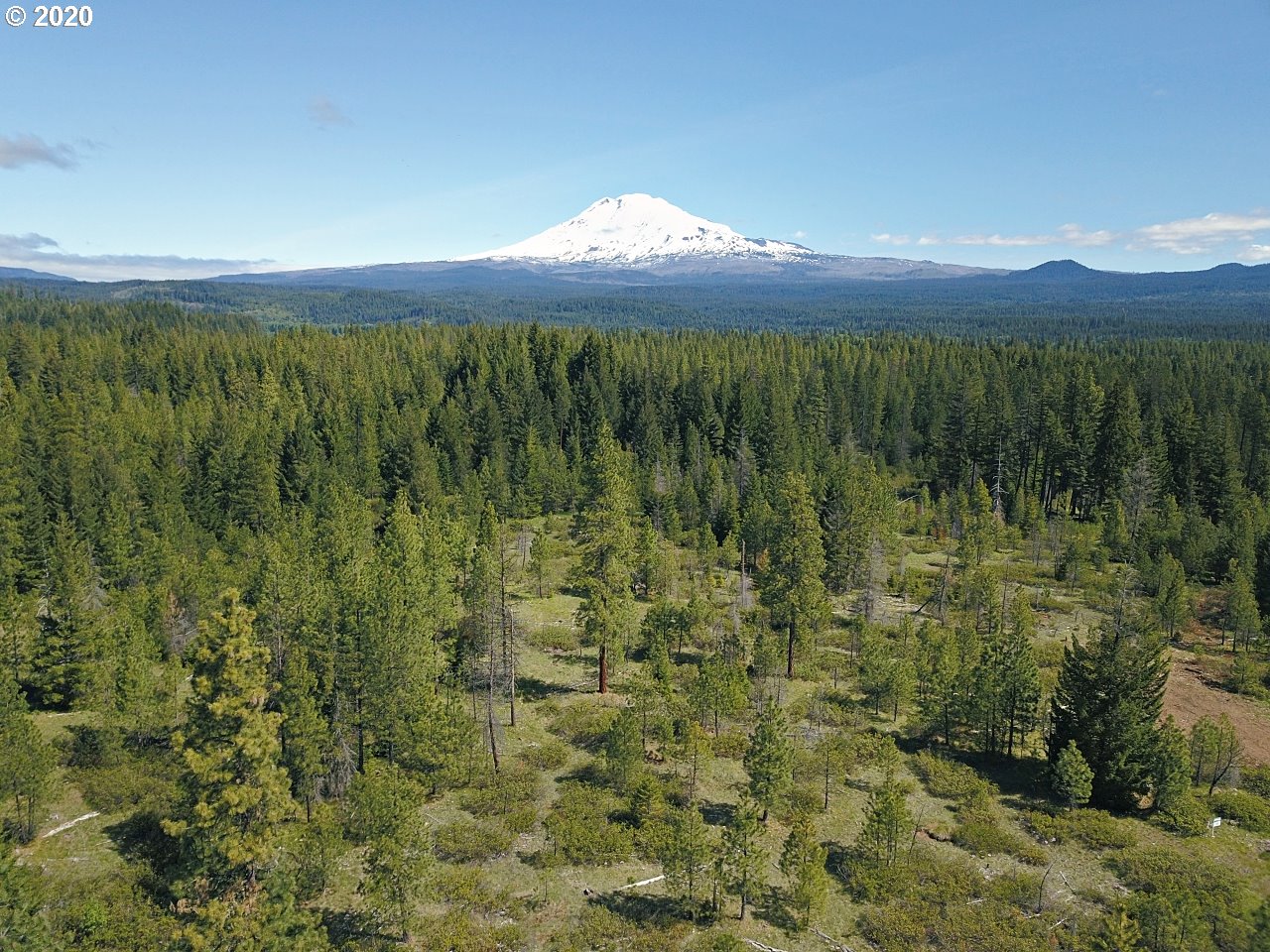 31 Byrkett Road Trout Lake, WA 98650 - Photo 3 of 22 Gallery Image 3