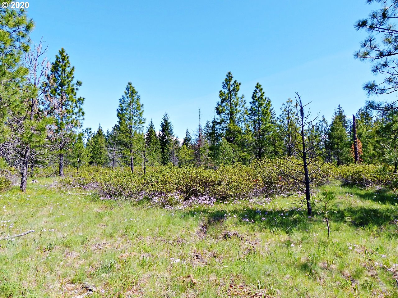31 Byrkett Road Trout Lake, WA 98650 - Photo 21 of 22 Gallery Image 21