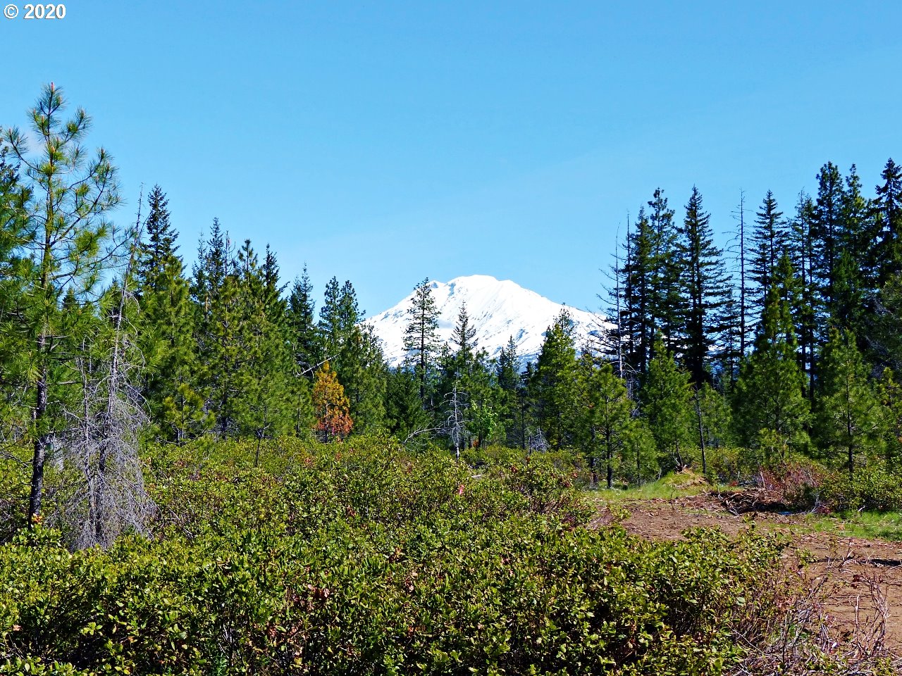 31 Byrkett Road Trout Lake, WA 98650 - Photo 22 of 22 Gallery Image 22