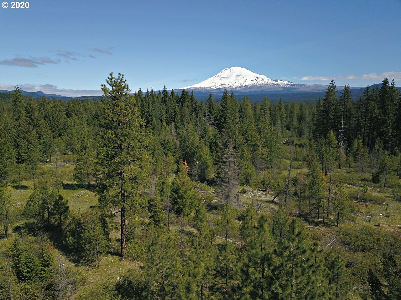 31 Byrkett Road Trout Lake, WA 98650 - Photo 5 of 22 Gallery Image 5