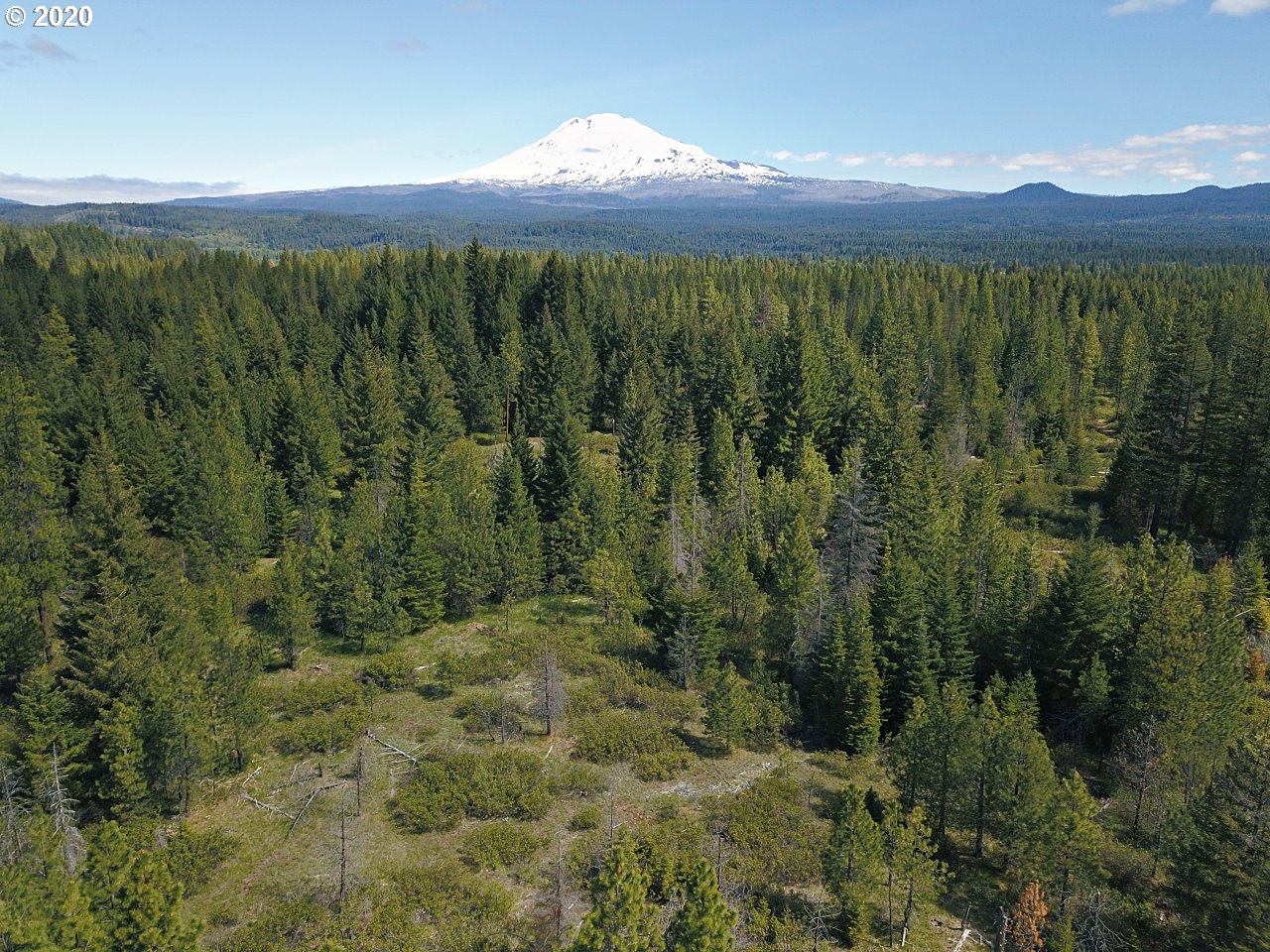 31 Byrkett Road Trout Lake, WA 98650 - Photo 6 of 22 Gallery Image 6