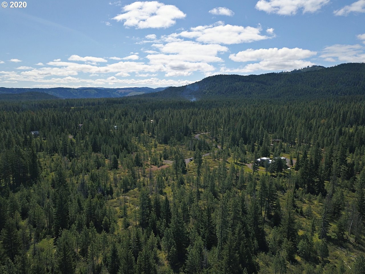 31 Byrkett Road Trout Lake, WA 98650 - Photo 8 of 22 Gallery Image 8