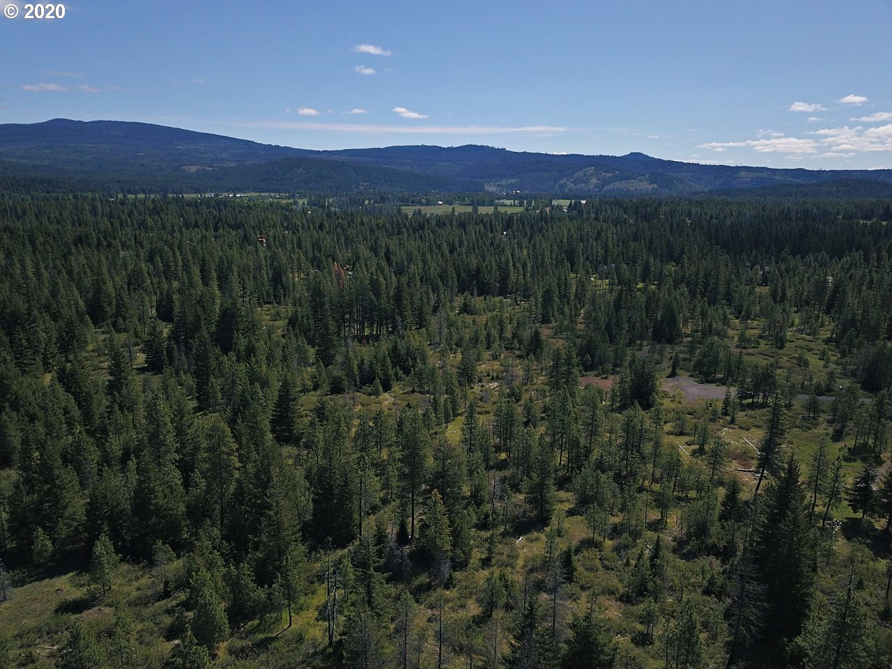 31 Byrkett Road Trout Lake, WA 98650 - Photo 9 of 22 Gallery Image 9