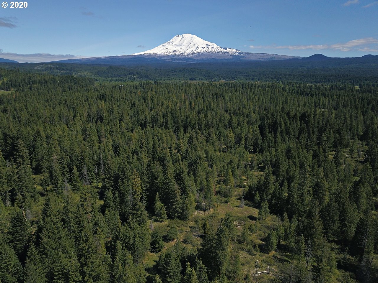 31 Byrkett Road Trout Lake, WA 98650 - Photo 10 of 22 Gallery Image 10
