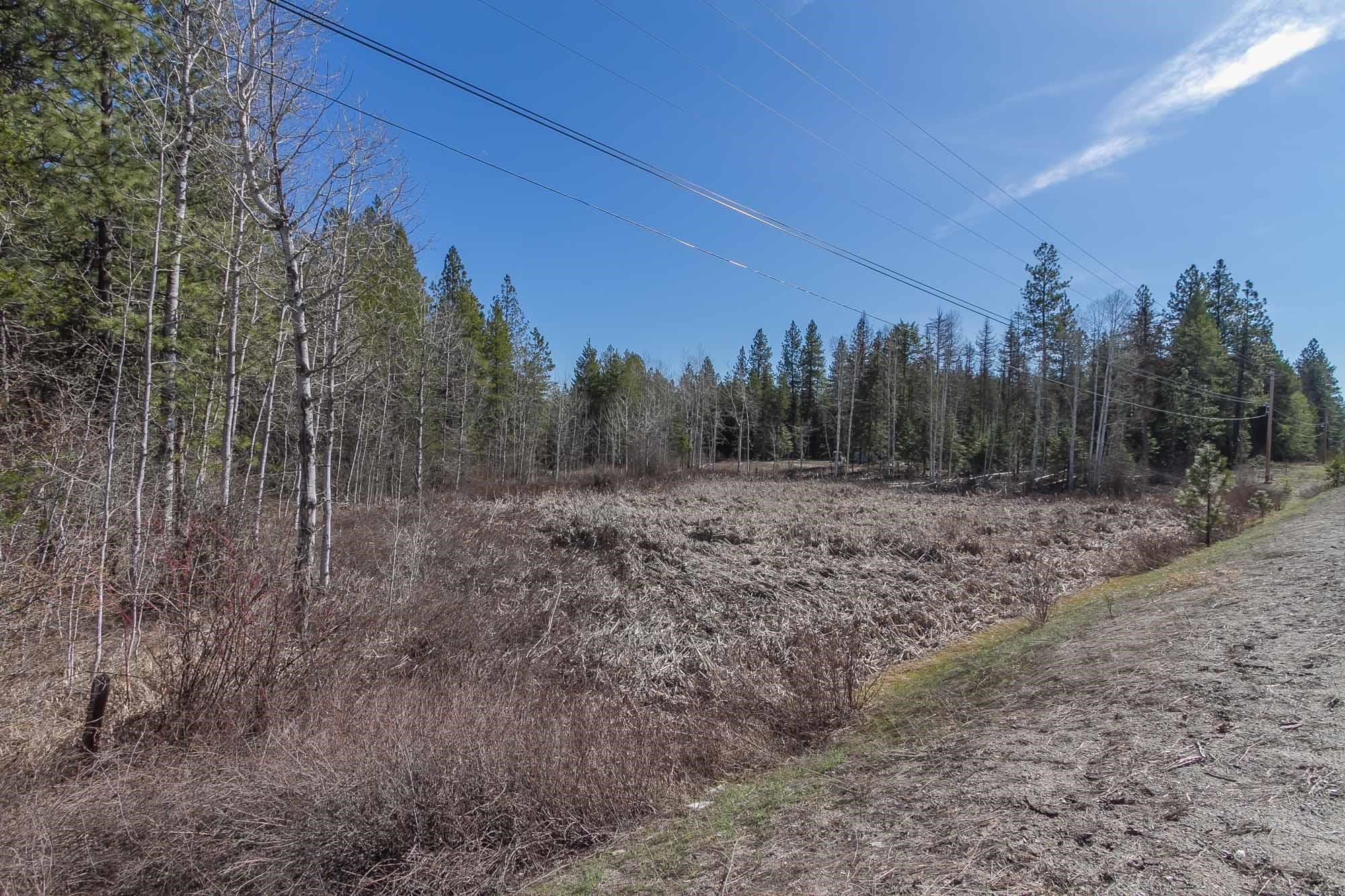 425291 State Rte 20 Newport, WA 99156 - Photo 11 of 50