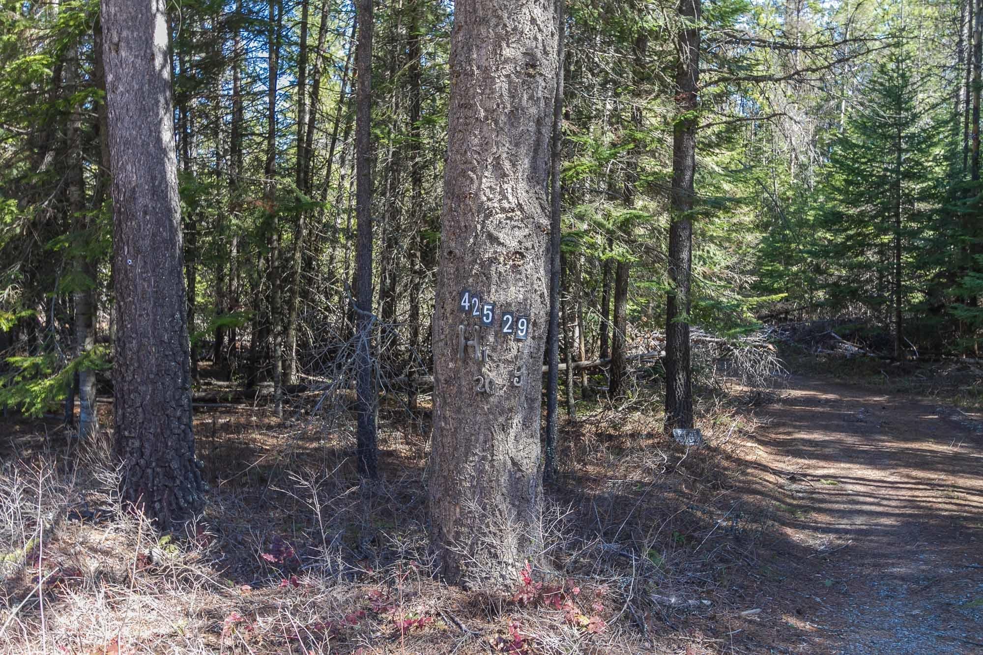 425291 State Rte 20 Newport, WA 99156 - Photo 15 of 50