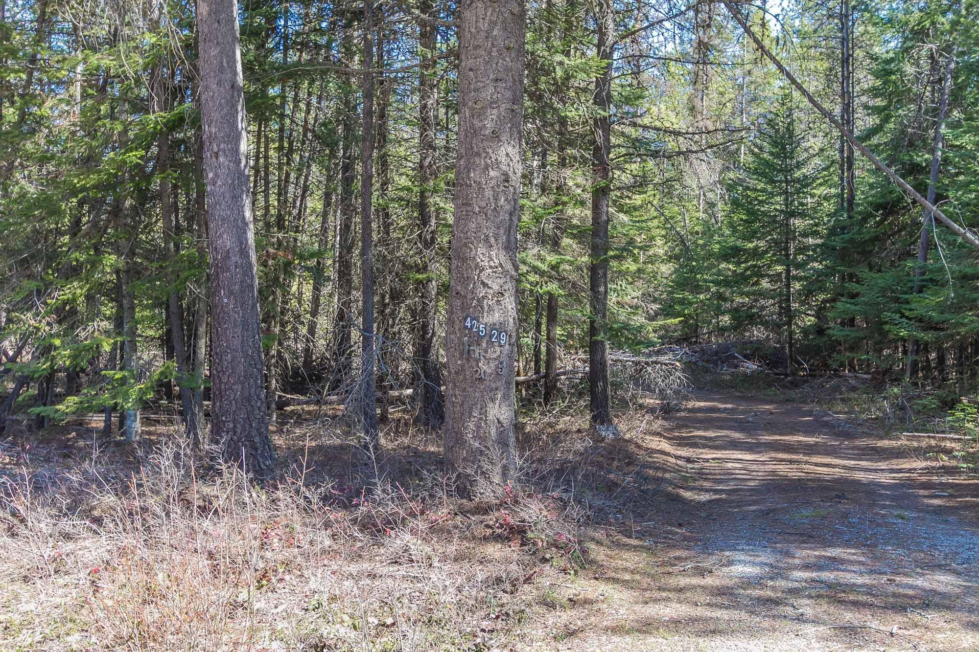 425291 State Rte 20 Newport, WA 99156 - Photo 16 of 50