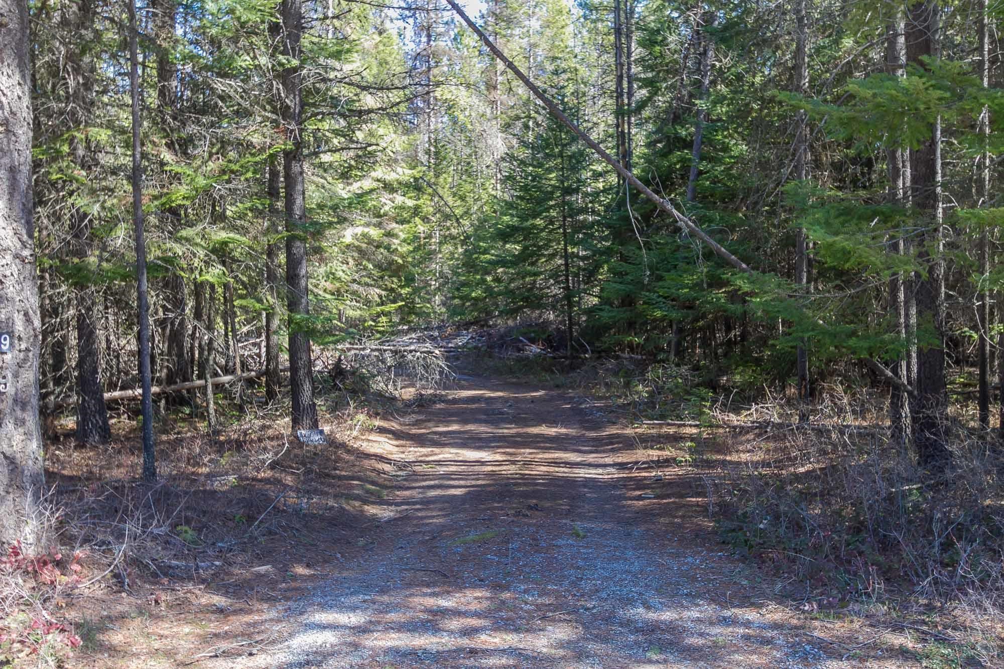 425291 State Rte 20 Newport, WA 99156 - Photo 17 of 50