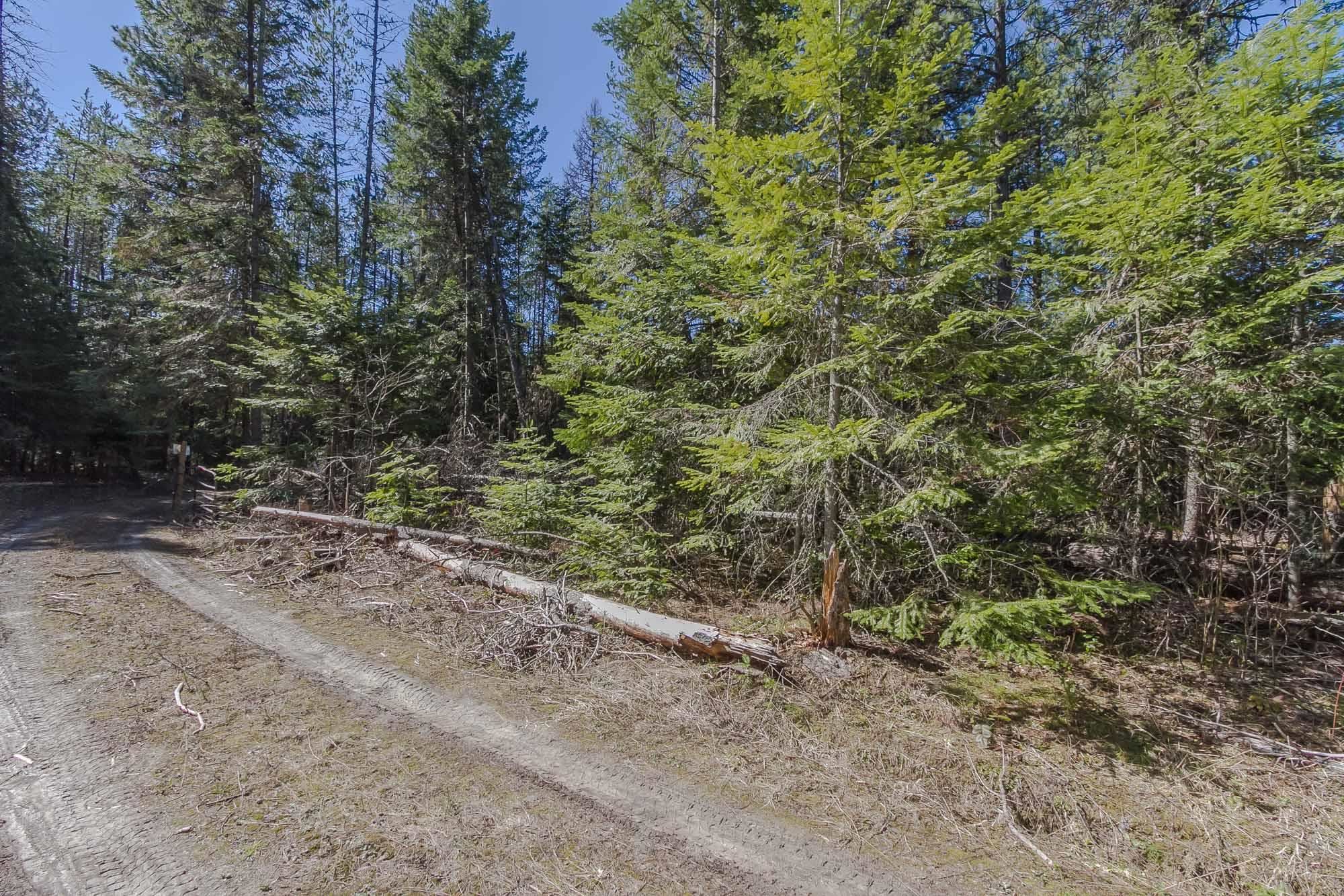 425291 State Rte 20 Newport, WA 99156 - Photo 22 of 50