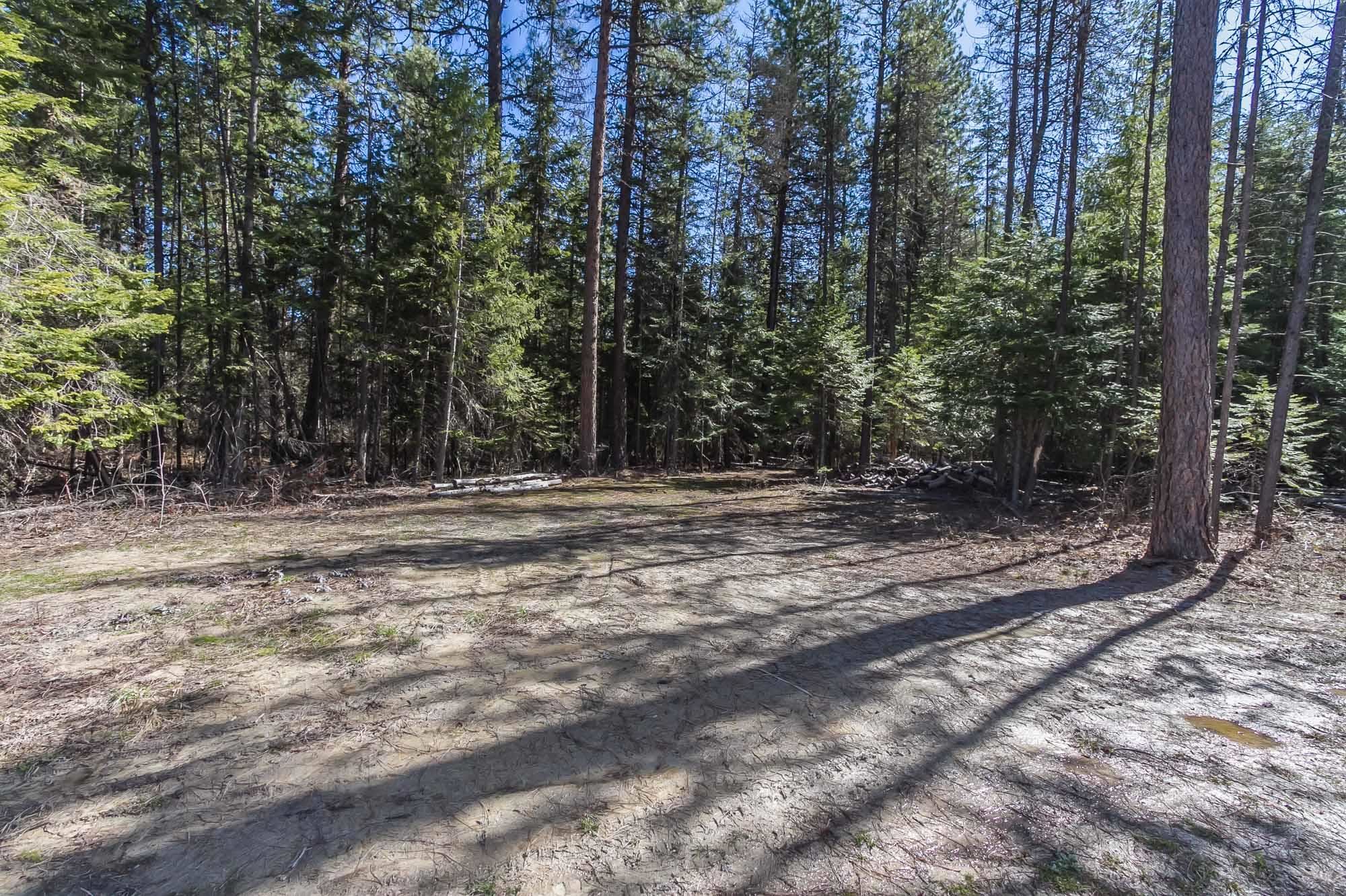 425291 State Rte 20 Newport, WA 99156 - Photo 23 of 50