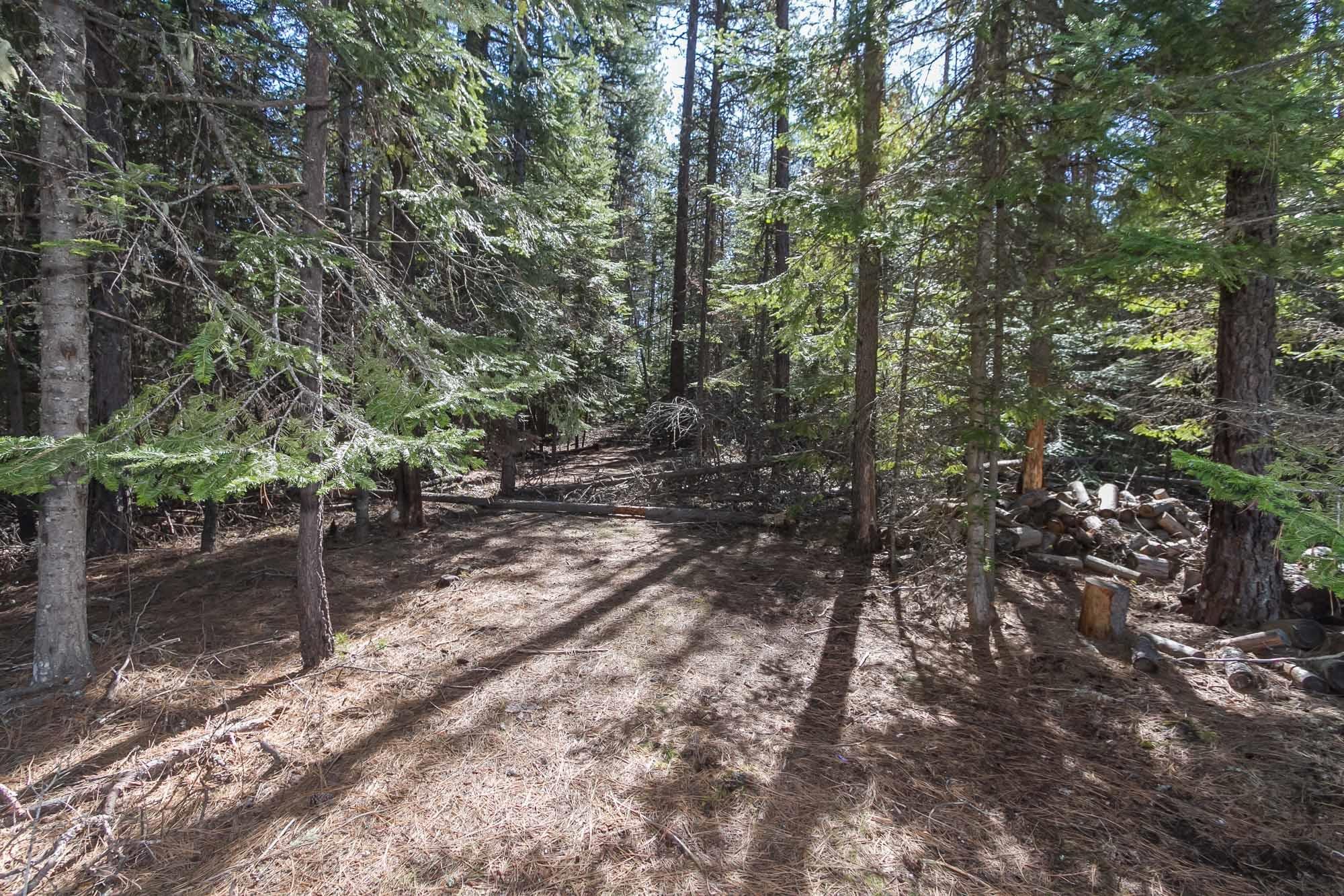 425291 State Rte 20 Newport, WA 99156 - Photo 24 of 50