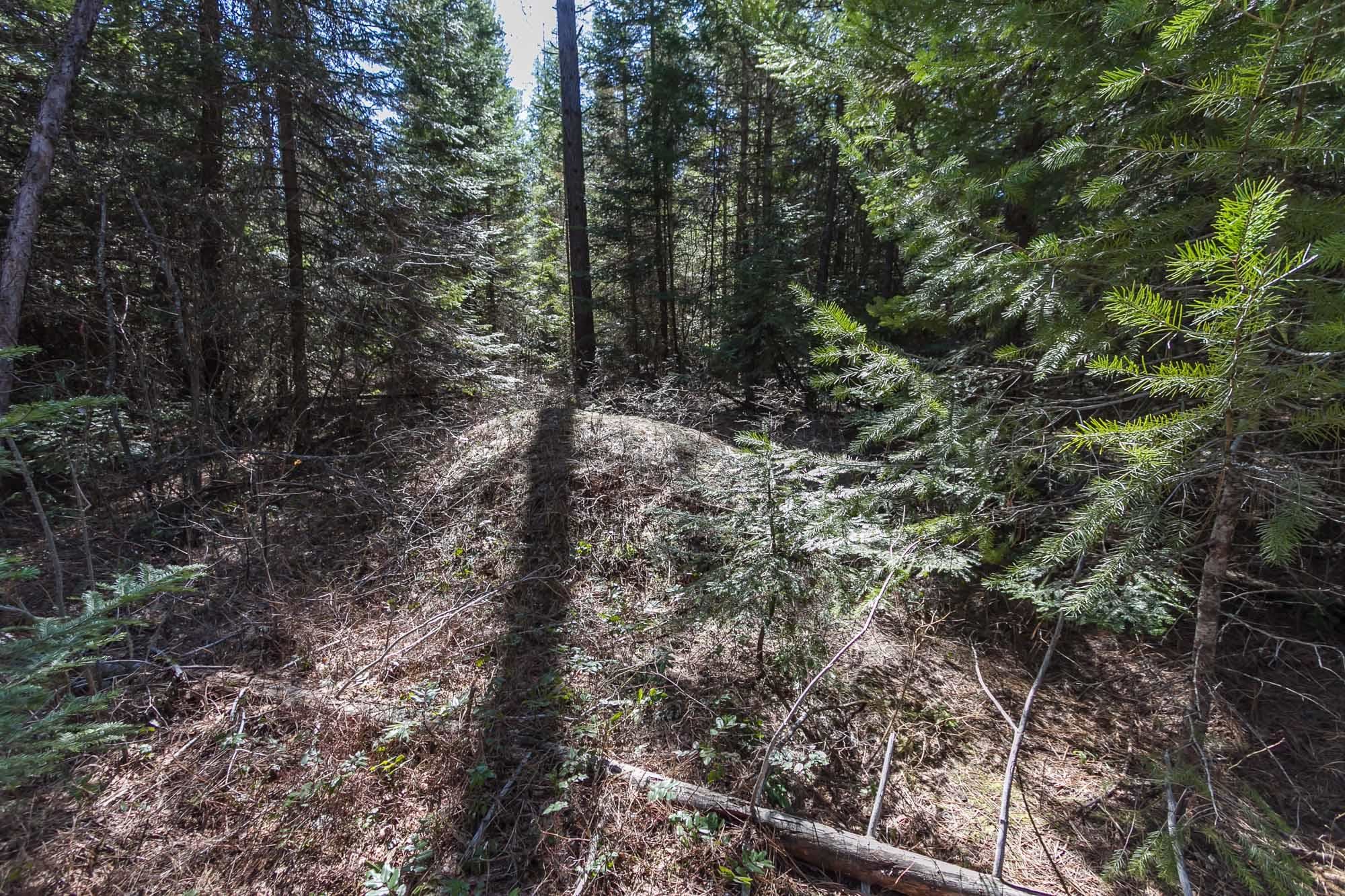 425291 State Rte 20 Newport, WA 99156 - Photo 26 of 50