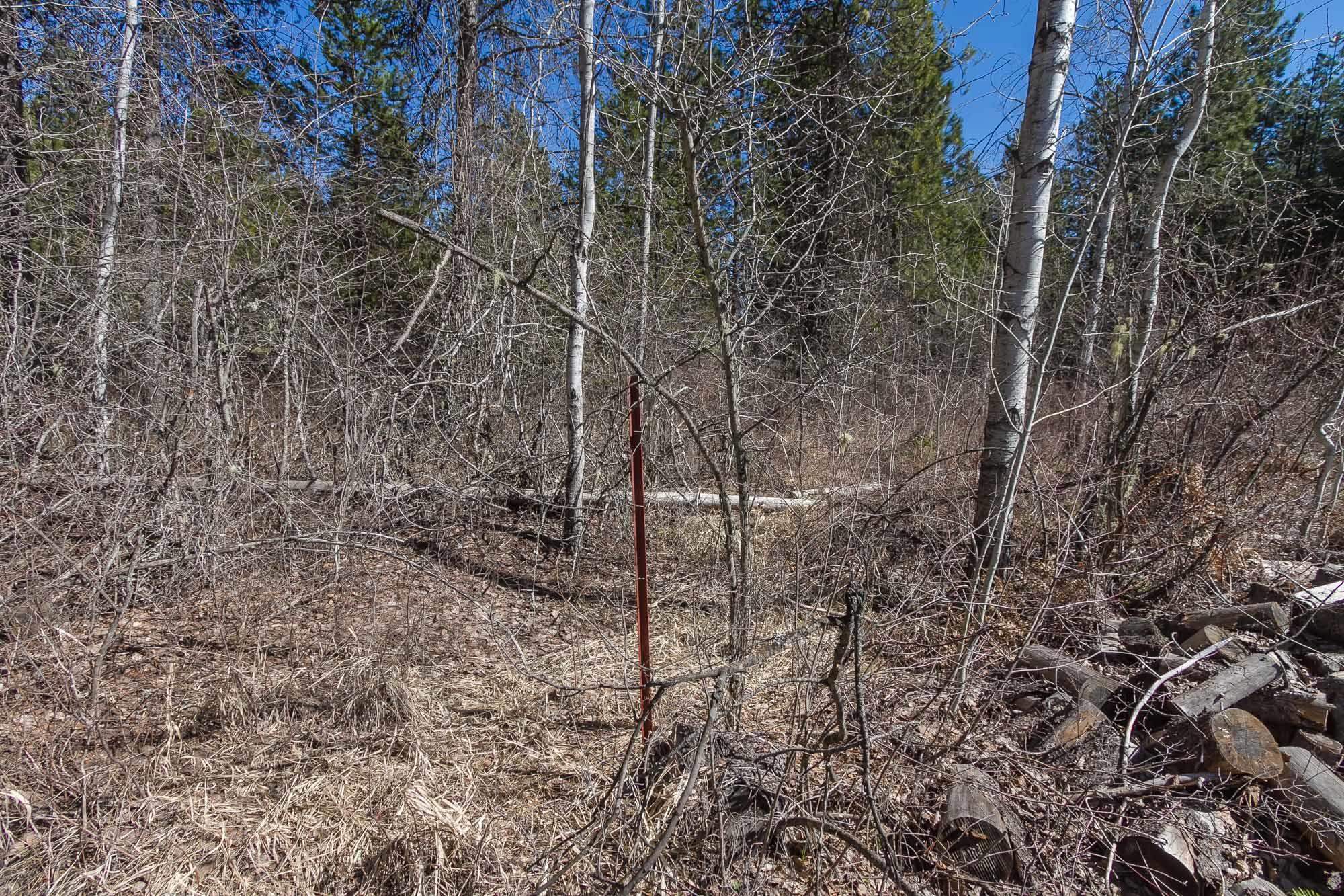 425291 State Rte 20 Newport, WA 99156 - Photo 30 of 50